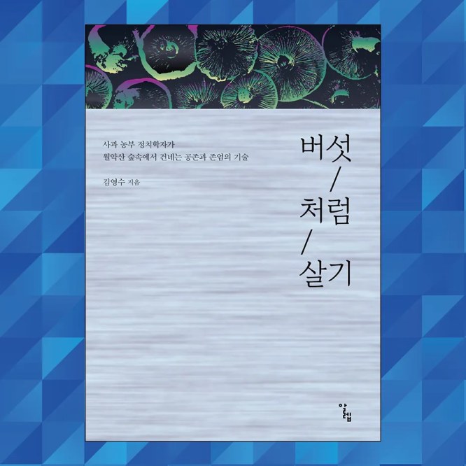 《버섯처럼 살기》 표지