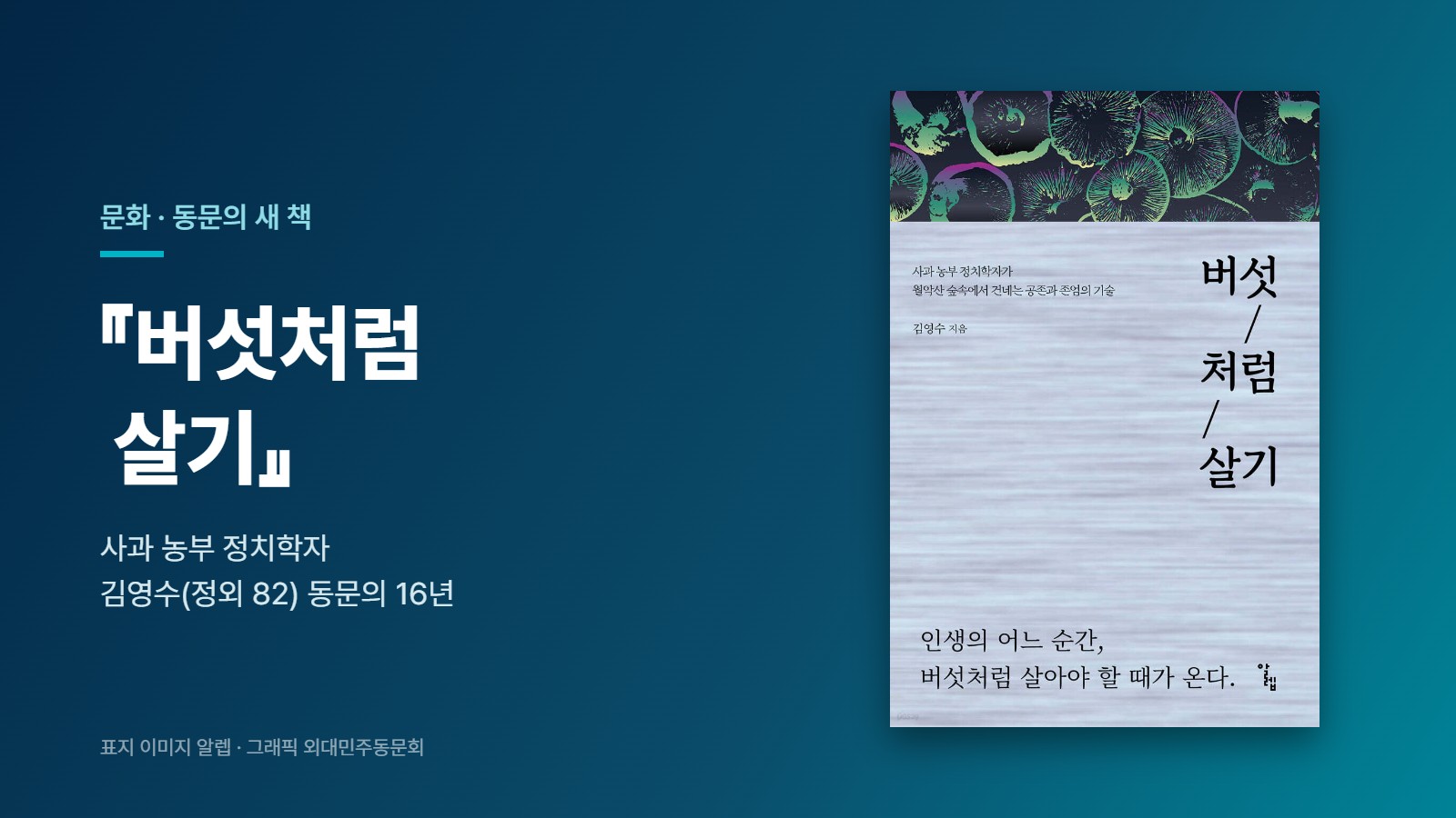 버섯처럼 살기 — 김영수 동문